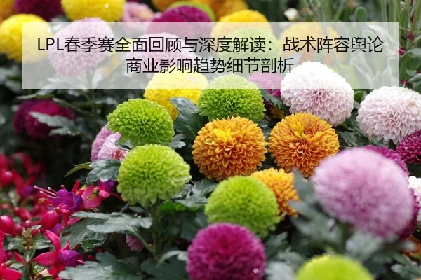 LPL春季赛全面回顾与深度解读：战术阵容舆论商业影响趋势细节剖析
